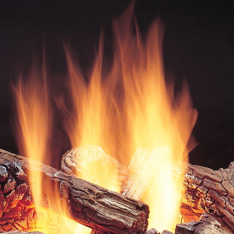 Wood and Fire Burning